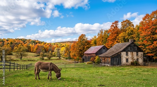 A traditional weathered farmhouse and barn sit amongst colorful autumn trees as a donkey grazes peacefully under a blue sky with soft white clouds, wood, peaceful, autumn