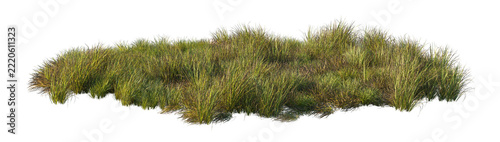 carex obnupta grass clump (slough sedge, pacific sedge) isolated PNG on a transparent background premium nature cutout