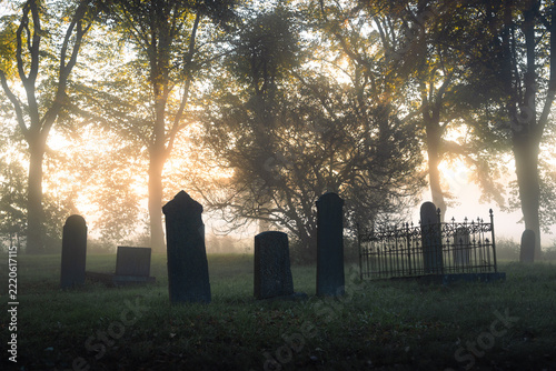 Tombstones at a graveyard on a foggy, autumn morning.