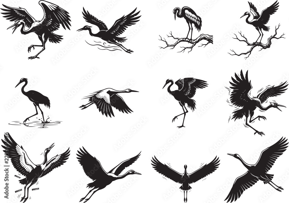 Fototapeta premium Crane Design Decorative