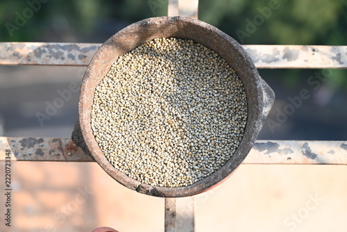 a stone bowl of pearl millet seeds for pigeons 