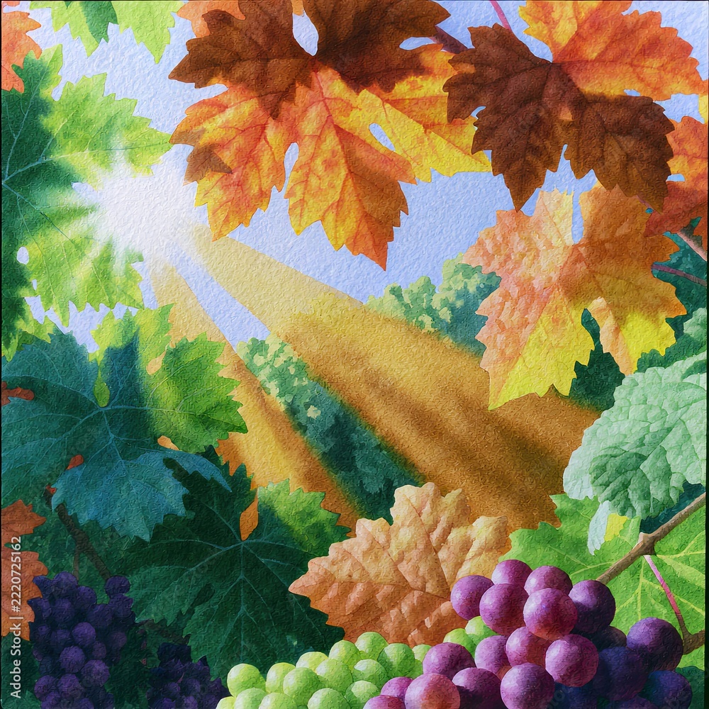 Naklejka premium Autumn vineyard bathed in warm sunlight, showcasing ripe grapes and colorful leaves during harvest season.
