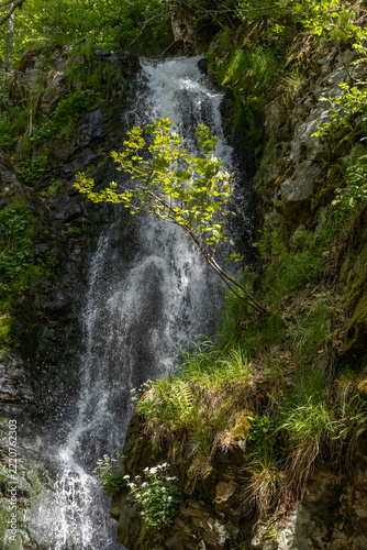 Wasserfall im Schwarzwald