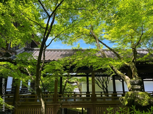 Eikando (Zenrinji Temple) in Kyoto, Japan