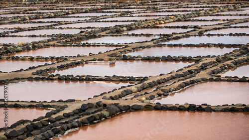 Obraz na plátně Pattern of pink salt evaporation ponds with a salt rake, Salinas de Tenefé, Gran