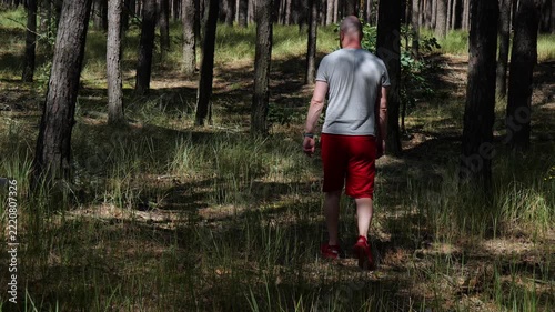 man walking with small white dog in pine forest video screenshot, back view of man in red shorts hiking in sunny woods with pet, man strolling with small dog through tall grass in pine forest video