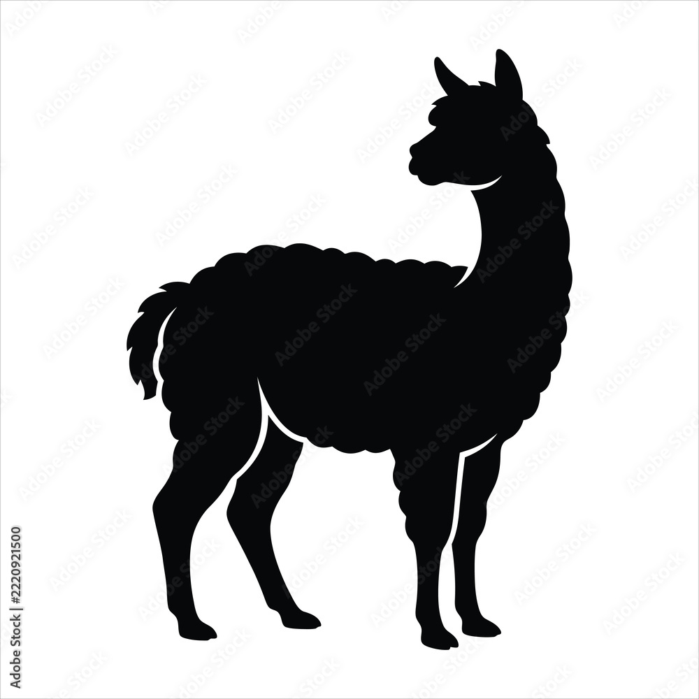 Fototapeta premium Alpaca standing looking back silhouette vector illustration on white background