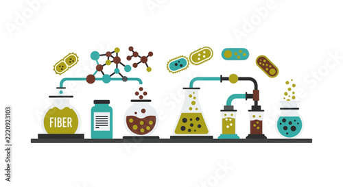 Gut Microbiome and Fiber Fermentation Laboratory Vector Illustration