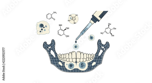 Dental Research and Jawbone Regeneration Illustration
