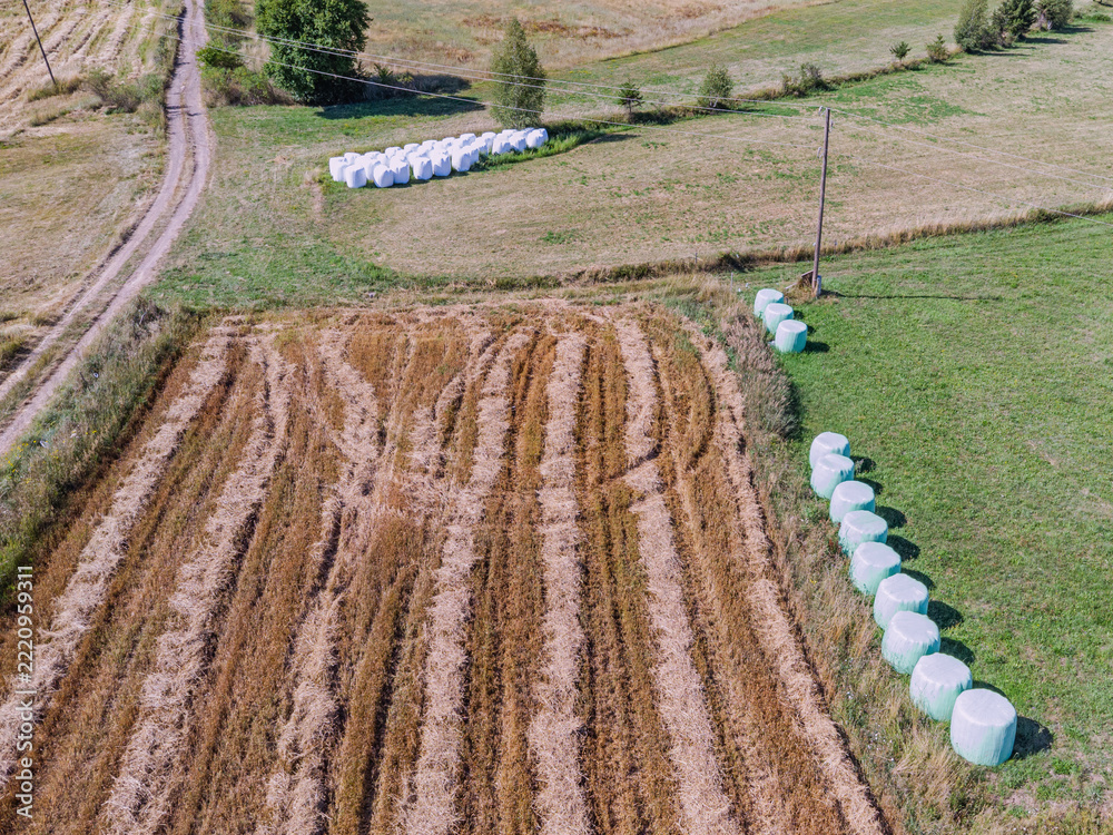 Fototapeta premium Wrapped silage bales lined along harvested hay field edge, aerial drone view. Farming concept.