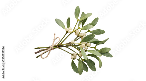 mistletoe bunch tied with twine isolated on transparent background png