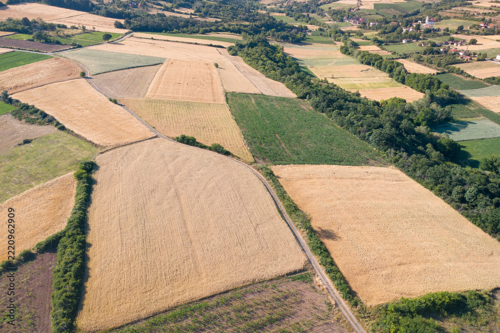 Fototapeta premium Aerial view of patchwork agricultural fields divided by a rural dirt road at harvest season.