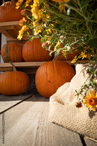 Orange Pumpkins and Flowers on Rustic Wooden Shelves, Autumn Farmhouse Decoration