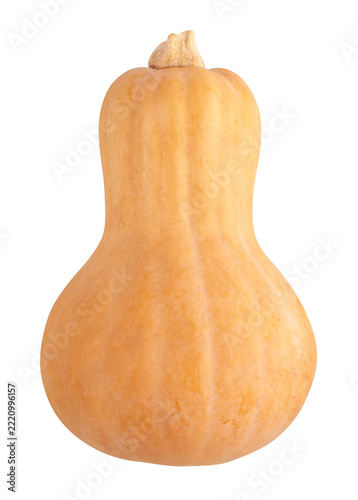 butternut squash path isolated on white
