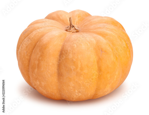 pumpkin path isolated on white