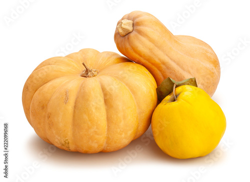 pumpkin butternut quince path isolated on white