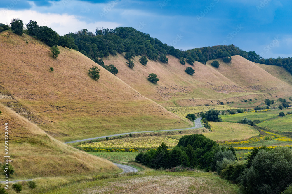 Fototapeta premium valley with rolling hills in summer