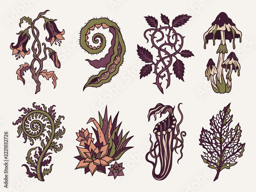 Vintage hand drawn botanical illustrations of dark fantasy plants mushrooms thorns and vines in gothic style for mystical design