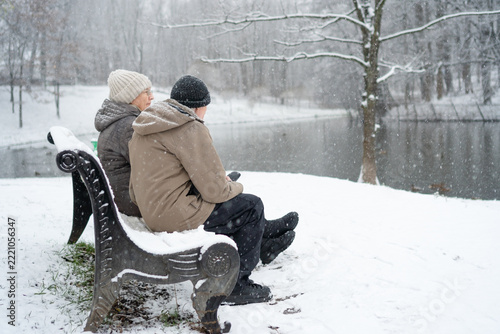 Elderly couple walking side by side through snowy winter park. Senior pair enjoying peaceful outdoor stroll on cold overcast day. Companionable partners moving along snowy path by frozen lake