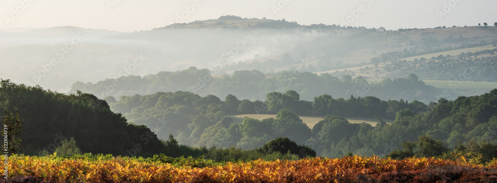 Naklejka premium Beautiful landscape image over Stanton Moor in Summer Heather sunrise