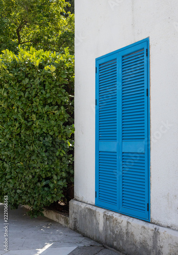 Bright blue louvered window shutter on a white stucco wall beside a dense green hedge and paved sidewalk in an exterior architectural detail