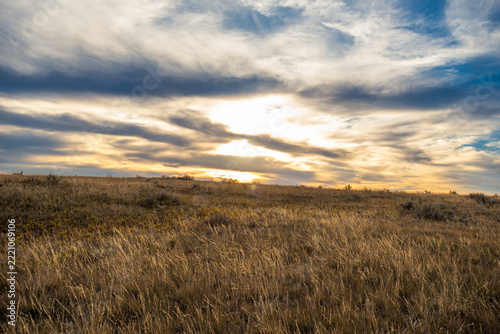 Autumn in Grasslands National Park