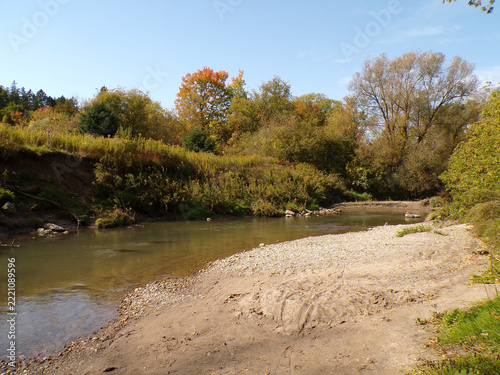 Fall landscape with trees and river