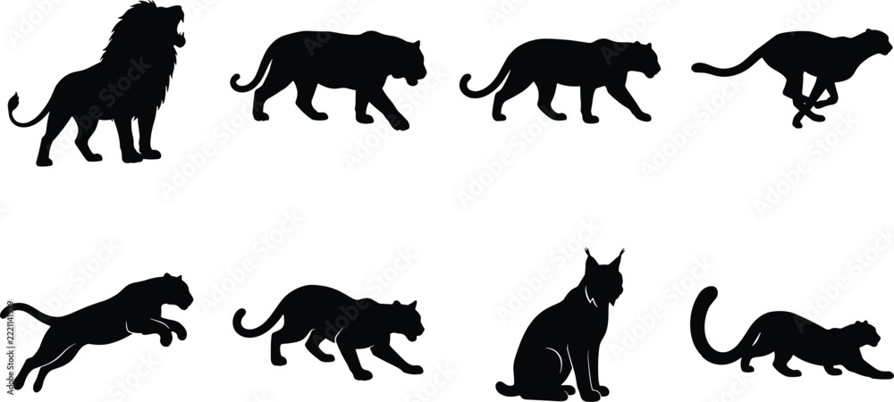 Fototapeta premium Black Big Cat Silhouette Collection Showing Lion, Leopard and Cheetah in Walking, Running, Sitting and Hunting Poses