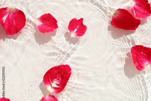 Red rose petals floating on crystal clear rippling water.