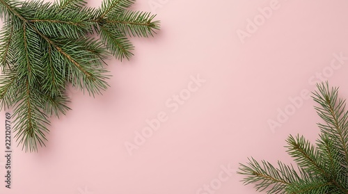 Evergreen pine branches frame a soft pink background for holiday design with copy space