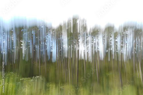 Intentional camera movement blurry trees creative photography