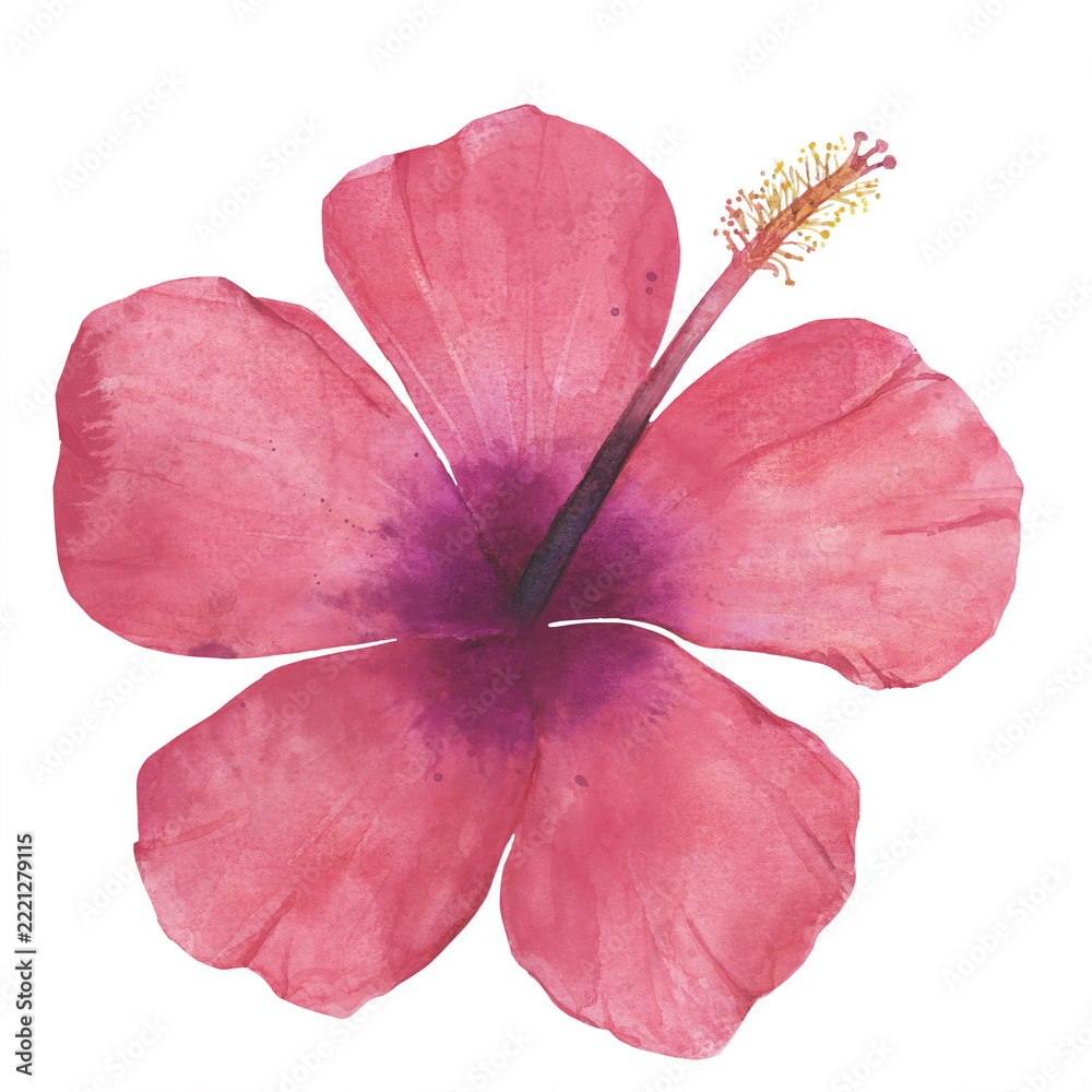 Naklejka premium Hand-Drawn Watercolor Red Hibiscus Flower Blossom Isolated on Black Background