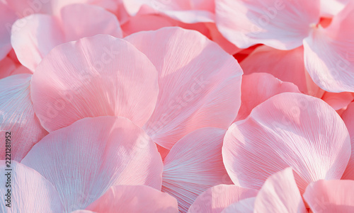 soft lavender blush and dusty rose pink tones, silk-like petal surface with fine organic ridges and delicate translucent veining, volumetric morning light filtering through petals