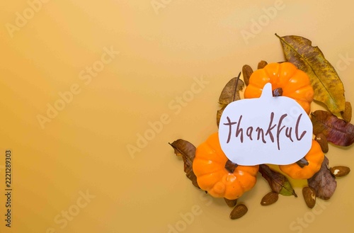 Thankful message with autumn pumpkins and dried leaves