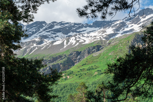 Mountains and green hills behind trees in the area