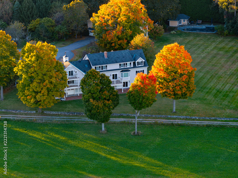 Fototapeta premium aerial view of colorful autumn tree and house