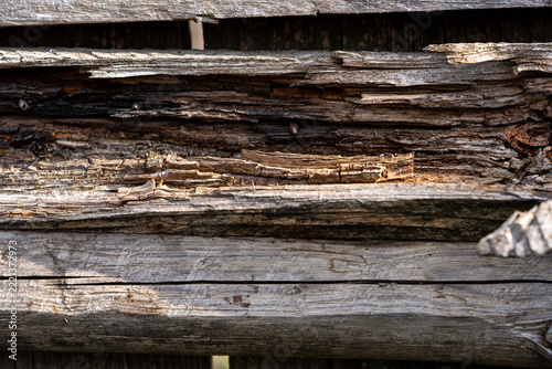 Rotten pine wood material on a wooden fence close up shot.