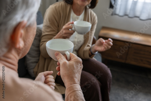 Older adults sharing tea in cozy living room, enjoying relaxed conversation together