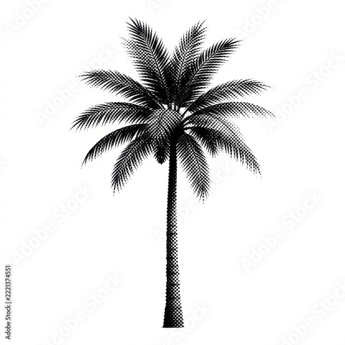 Vintage Engraving Style Palm Tree Illustration.