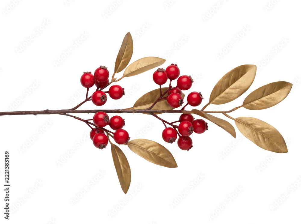 Fototapeta premium Decorative branch featuring vibrant red berries and metallic gold leaves