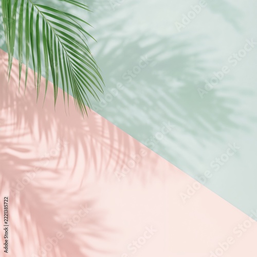 Soft pastel palm fronds background for wellness and tropical lifestyle branding