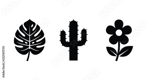 Monstera leaf cactus and blossom silhouettes showcase a botanical vector illustration on white