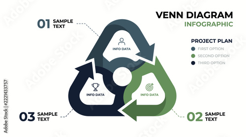Modern triangular Venn diagram infographic perfect for business presentations 