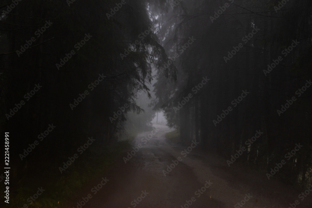 Fototapeta premium mystical foggy forest road in autumn