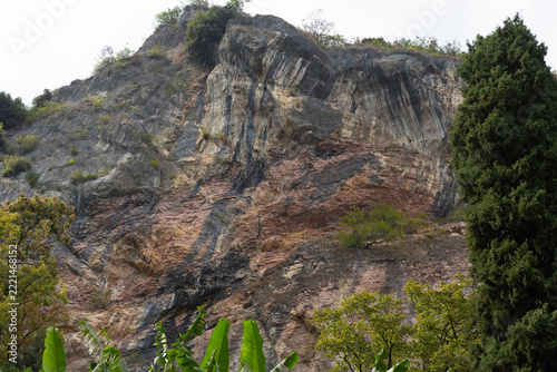 Steep rocky mountain cliff with colorful geological strata, tall cypress tree and lush green banana leaves in Lake Garda region, Trentino, Italy.