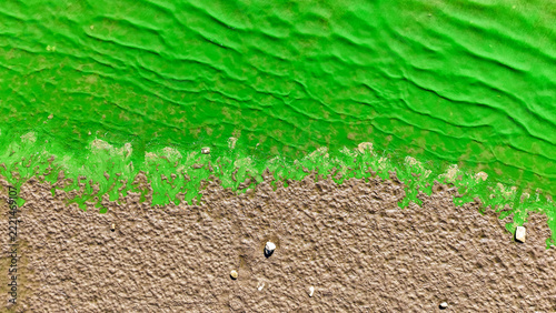 Green Water Along Shoreline With Unusual Natural Patterns