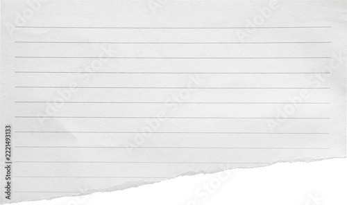 a piece of off-white ruled paper with a torn edge, isolated on a transparent background