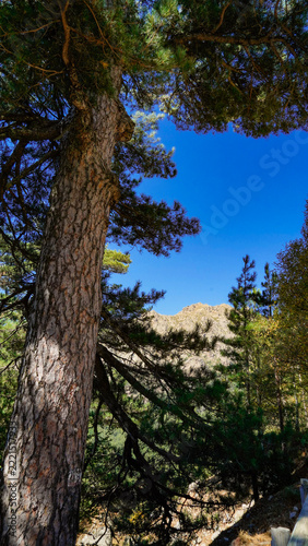 La strada che collega Corte alla costa occidentale della Corsica attraversa panorami di montagna mozzafiato aperti su grandi vallate per poi insinuarsi nello stretto Canyon della Ruda.