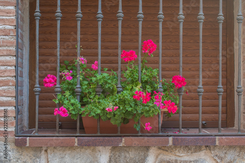 window box with geraniums on a barred window