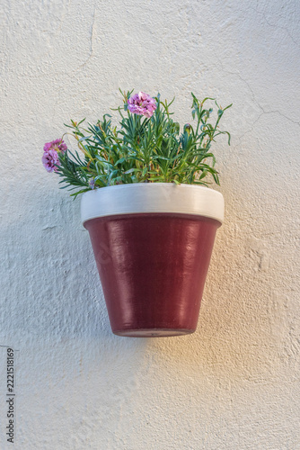 flowerpot with small carnations hanging on a white wall